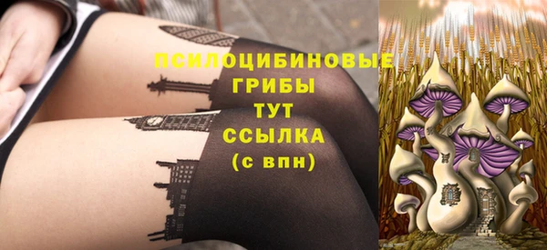 гашик Гусиноозёрск