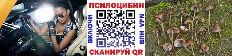 Псилоцибиновые грибы Psilocybe  гидра рабочий сайт  Дзержинск 